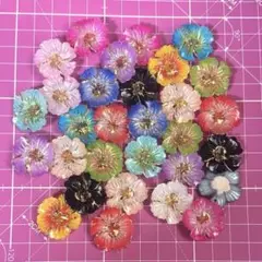 Item thumbnail for item f55c4a3d-89dc-4753-aa99-753e17758778