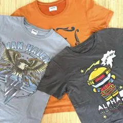 3点セット Tシャツ 半袖 プリント ノーブランド アメリカ 古着