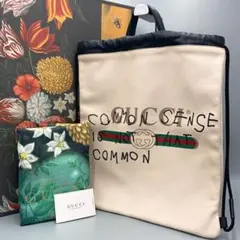 ✨数回使用・付属品完備✨GUCCI ココキャピタン 2way リュック 17AW
