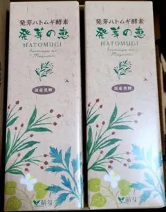 Item thumbnail for item 0341f668-77de-4a1c-a37d-9cadb2e51aaa