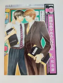 教師も色々あるわけで 2巻 大和名瀬 まとめ売り可