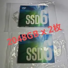 美品 Intel SSD6 665p 2048GB 2枚
