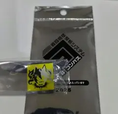コンパス アイコンピンズ クーシー③
