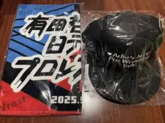Item thumbnail for item e6a01db7-f47c-4311-93bb-24d6295c2e65