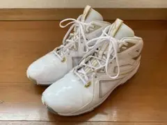 MIZUNO WAVE DIVERSE LG4