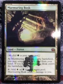 MTG 【Foil】《つぶやき林》[FtV:Realms] 土地R