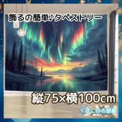タペストリー 背景布 オーロラ 夜景 夜空 神秘的 インテリア 109a
