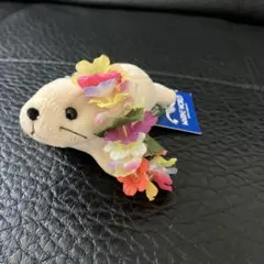 マリンワールドプチミニアザラシキーホルダー