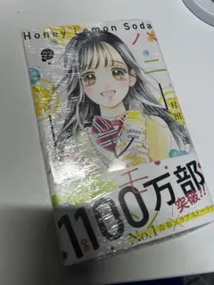 ハニーレモンソーダ 22巻
