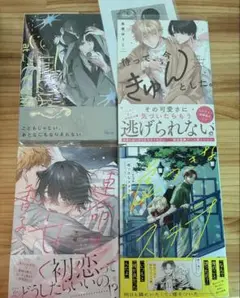 blコミックまとめ売り　4冊