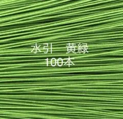 SALE★水引 絹巻 黄緑100本