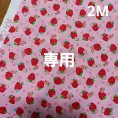 専用　3M