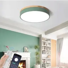 シーリングライト LED 北欧 調光調色 6畳用 グリーン30cm リモコン付