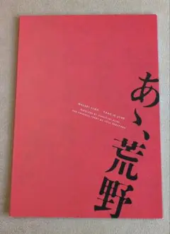 あゝ、荒野 パンフレット 菅田 将暉 ヤン・イクチュン【美品】