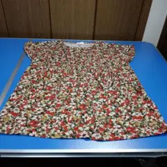 Item thumbnail for item e17a55e1-8785-4a02-865b-9fb5135cb50c