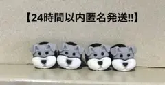 【シュナウザー】ジビッツ4個セット　まとめ売り クロックス　アクセサリー　デコ