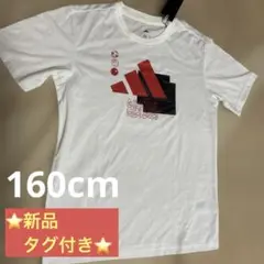 Item thumbnail for item 8ab61ffb-ae97-4180-8379-e62c7d36d61a