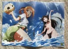 【未開封】 まよチキ！ A3 ミニクリアポスター