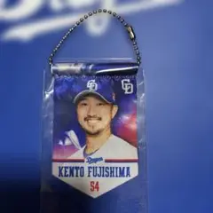 中日ドラゴンズ　藤嶋健人選手　ガチャ　タペストリー