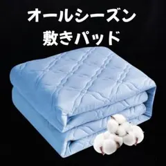 オーガニック 敷きパッド 四層構造 防ダニ 消臭 洗える