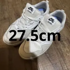 27.5cm ナイキ エスビー アリウープ NIKE SB ALLEYOOP