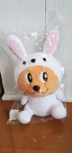 新品、未開封　わたぴー　うさぎぬいぐるみ