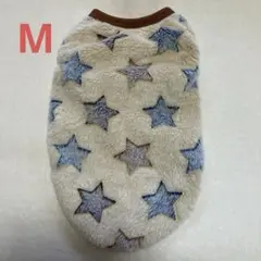 Item thumbnail for item 237de0a1-4876-4581-8ef8-ff7100714eb0