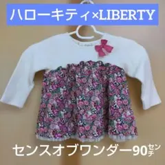 Item thumbnail for item 4e35efad-3da1-40db-aa56-73004c58fcb7