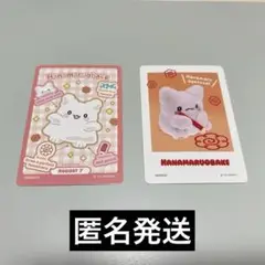 【匿名発送】サンリオ　コレクターズカードプラス　プロフィール　はなまるおばけ