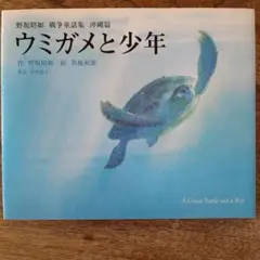 ウミガメと少年