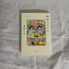 団地のふたり 藤野 千夜 文庫本
