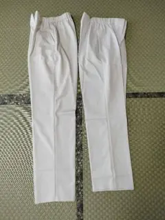 Item thumbnail for item c929053d-e9ec-466a-88c3-d84bf8b23d89