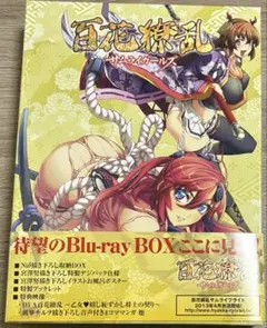 2025年最新】百花繚乱 サムライガールズ Blu-ray BOXの人気