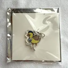 奈良間大己 カルガモ隊