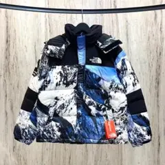 THE NORTH FACE ダウンジャケット