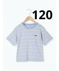 フルーツオブザルーム　マルチボーダー　Tシャツ　120