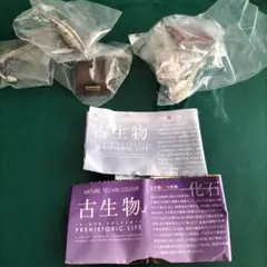 NTC・古生物、２種　新品・未開封