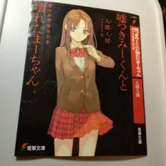 嘘つきみーくんと壊れたまーちゃん 小説 原作 非売品 懸賞 ブックカバー