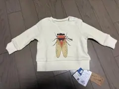 INSECT COLLECTIONインセクトコレクションキッズスウェット