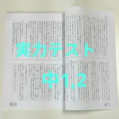実力テスト 中学1年 中学2年