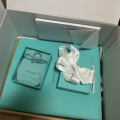 Tiffany 1837 リング シルバー(ナローリング)