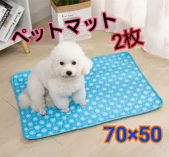 Item thumbnail for item 1200e9b5-1f0b-46c2-b6e3-922f1af34fb5