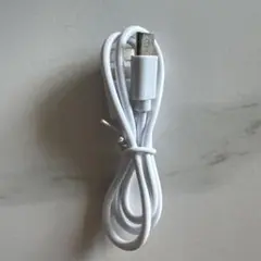 USB-A to USB-C ホワイトケーブル