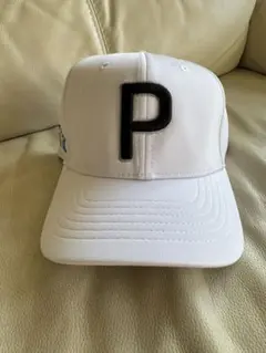 Item thumbnail for item 0817682f-267c-4e64-8545-5c962a7ba57d