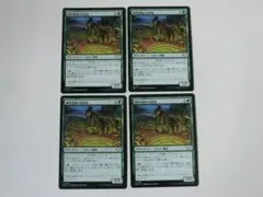 MTG 事件現場の分析者 久遠の終端 日 4枚セット