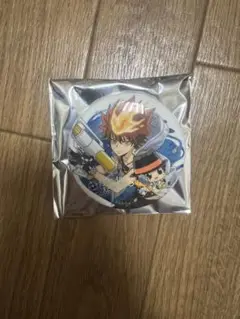家庭教師ヒットマンREBORN SUMMER 沢田綱吉 缶バッジ