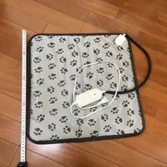 Item thumbnail for item b5e17fb8-60c4-4632-a2d9-081f732fe365