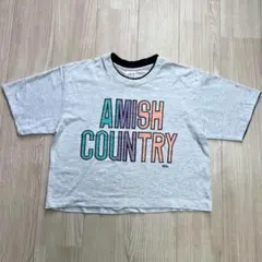 90s LA Tシャツ 短丈 グレー AMISH 英字ロゴ ヴィンテージ