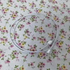 iPhone 充電ケーブル 1M