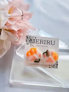 【匿名配送】本物のお花が入った ピアス　イヤリング